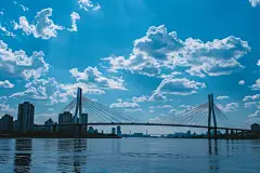 峡谷大桥交通工程项目