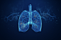 生物学医疗肺部呼吸系统摄影图片