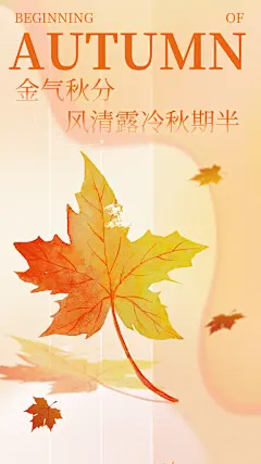中国传统二十四节气秋分海报插画