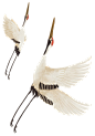 飞鸟—木小白 白鹤 古风 素材