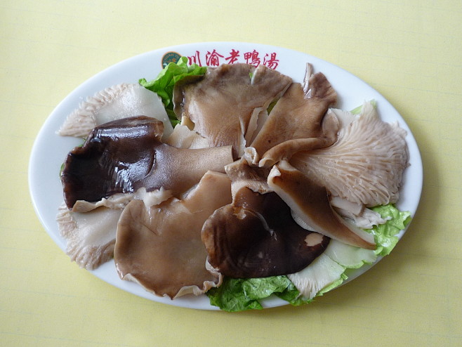 鲍鱼菇营养丰富，肉质肥厚，风味独特，每1...
