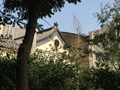 展秋羽采集到原创 摄影相册