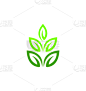 环境,模板,叶子,品牌名称,循环利用,有机食品,自然,人,季节,树