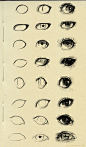 eyes reference 3 by ryky tool paint draw how to tutorial instructions | Create your own roleplaying game material w/ RPG Bard at www.rpgbard.com | Writing inspiration for Dungeons & Dragons DND Pathfinder PFRPG Warhammer 40k Star Wars Shadowrun Call o