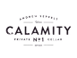 Dribbble - Calamity No.1 by CJ Rhodes