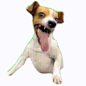 4808584dfc24ee0da2405dd85bd0659d