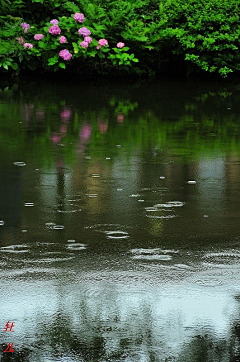 猎天火采集到雨滴