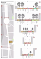 道路剖面还可以这样？