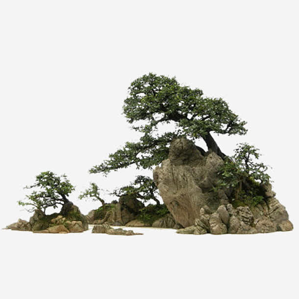 石头松树png素材
