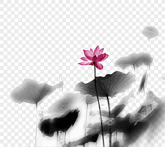 水墨荷花素材-水墨画-水墨背景-水墨画背...