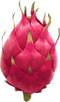 @冒险家的旅程か★
水果png 果蔬 蔬菜水果 火龙果