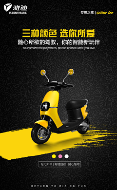 Hauke采集到H5