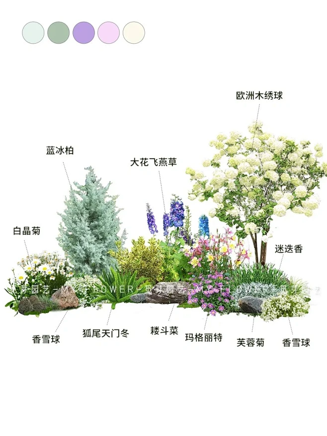 超实用 ️春季组合花境造景分享｜含植物配置_2_上海觅芽园艺_来自小红书网页版-花瓣网