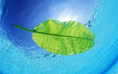 大海海滨高清桌面壁纸 第12页-ZOL桌面壁纸