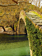 [旧石桥] 伊庇鲁斯,希腊 Voidomatis河上的旧石桥