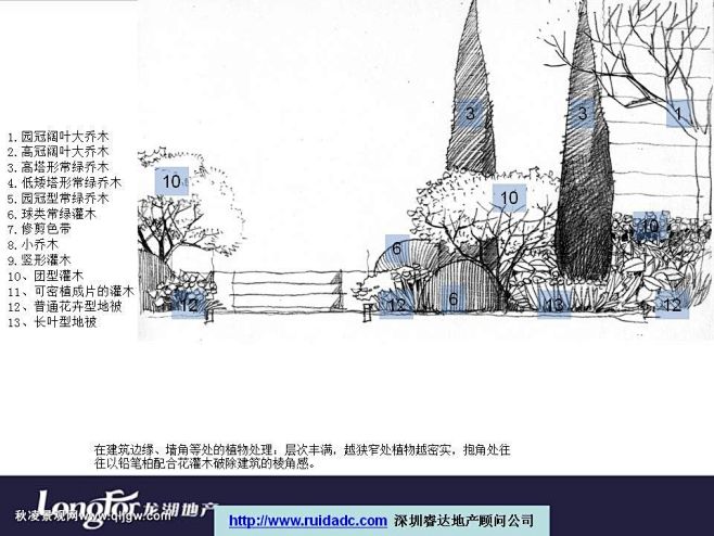 杨利伟景观设计 植物配置学习交流图片_景...