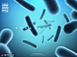 悬浮细菌 有益菌活菌 肠道保护 医疗海报PSD213海报招贴素材下载-优图网-UPPSD