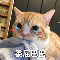 ┾Ｓmile二猫请三思采集到表情包