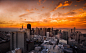 Photograph At the top of San Francisco by Botao (Amber) Hu on 500px