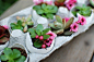 Springtime succulent eggshell planters - I've tried this, it's not as hard as it looks!