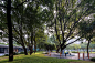 ONE CENTER by GM LANDSCAPE – mooool