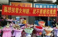 東楓采集到有趣