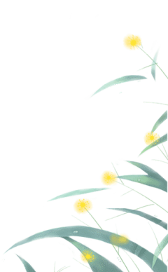 小光aki采集到花花