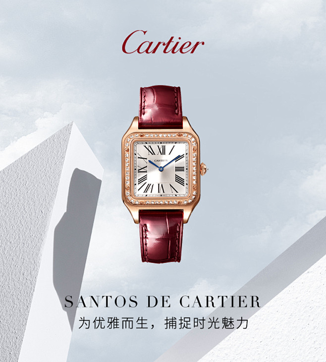Cartier卡地亚Santos-Dum...