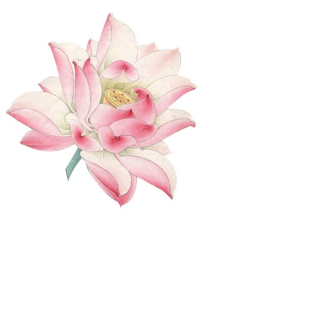 【新鲜蔬菜】古风免抠图189P_看图_白...