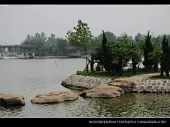 八里河风景区 - 阜阳市风景图片特写第2辑 (12) - @™旅遊點滴╮