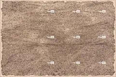 背景 高清壁纸 羊皮纸 纸 全高清壁纸 笔记本电脑壁纸 老式的