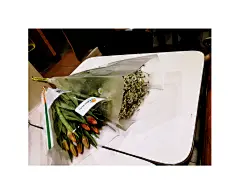 买了郁金香&amp;白晶菊 路上下雨了 带回来了金拱门桶