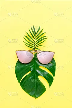 热带海滩的概念。戴着时髦眼镜的时尚潮人怪兽。有创意的海报是亮黄色的。