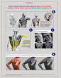 anatomy for sculptors-53