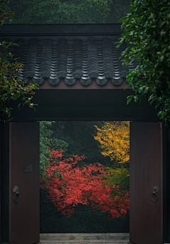 罗什佛桑采集到场景（摄）