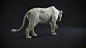 Lioness, Jose Pericles : This was a study that i started while ago, to do some animal sculpting, hope you like it! :)