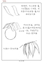 头发的画法教程8