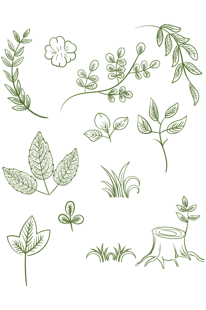 手绘绿色植物叶子线稿底纹