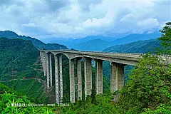 高清雅西森林高速路高清摄影桌面壁纸图片素材