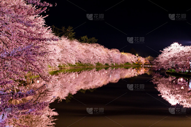 樱之花,弘前,弘前公园,弘前城堡,日本城堡,樱桃树,樱花,自然,水,美