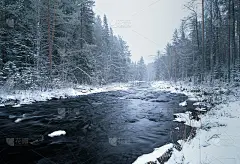 一条黑色的河流流过雪原的森林