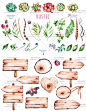 森系唯美手绘水彩绿色多肉植物花环木牌卡片PNG免扣请柬设计素材-淘宝网