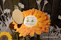 Claudia Schleyer Interaktive Exponate | Interactive Exhibits | Hands-on Bees Exhibition