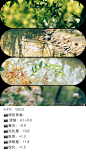 <VSCO> 春日 绿植 游玩 滤镜