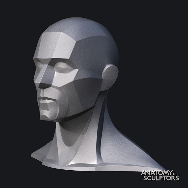 Male head 3D model b...
