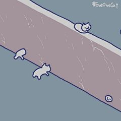 拾铭采集到魔性猫