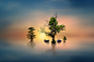 I wish i can make it real by iD's  on 500px