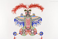 有壳的牛采集到待归类采集