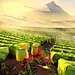 Etihad airways / LowPoly World 2 : Second series of illustrations I did in lowpoly style for Etihad Airways Abu Dhabi in the first half of 2016.