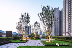 youqi1124采集到屋顶花园